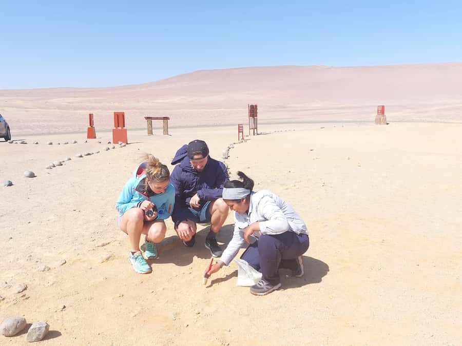 From San Martin Port: Ballestas Island & Paracas Reserve - Red Beach and the stop at Lagunillas