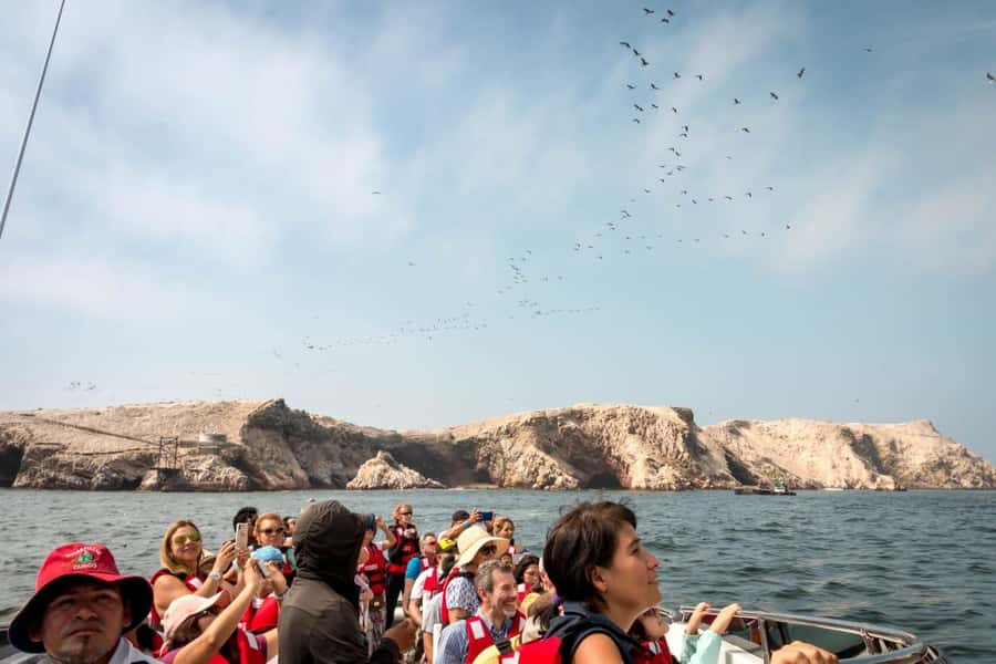 From San Martin Port: Ballestas Island & Paracas Reserve - The Candelabro, a 2,500-year-old coastal puzzle