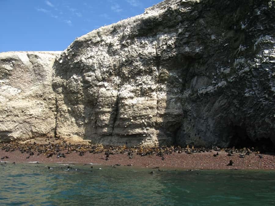 From San Martin Port: Ballestas Islands Tour in Paracas - What the two-hour boat trip feels like