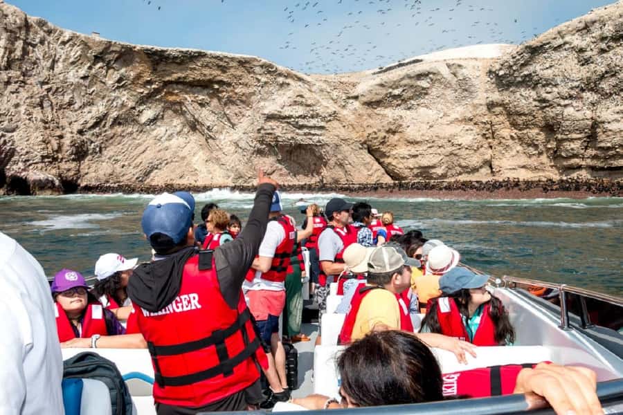 From San Martin Port: Ballestas Islands Tour in Paracas - The return transfer is the one part I would watch closely