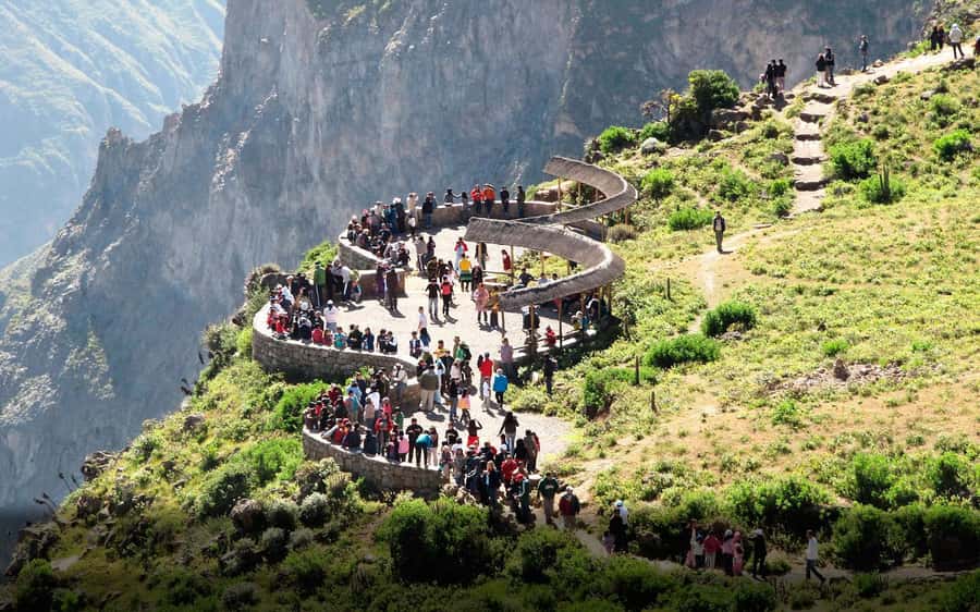 Full-Day Colca Canyon Tour from Arequipa - The long drive home and transport comfort
