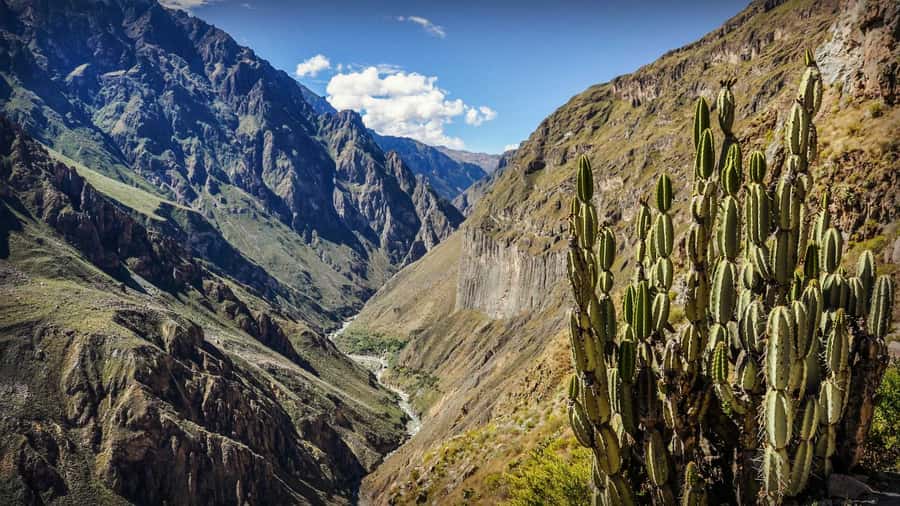 Full-Day Colca Canyon Tour from Arequipa - Cruz del Cóndor and the famous bird flight