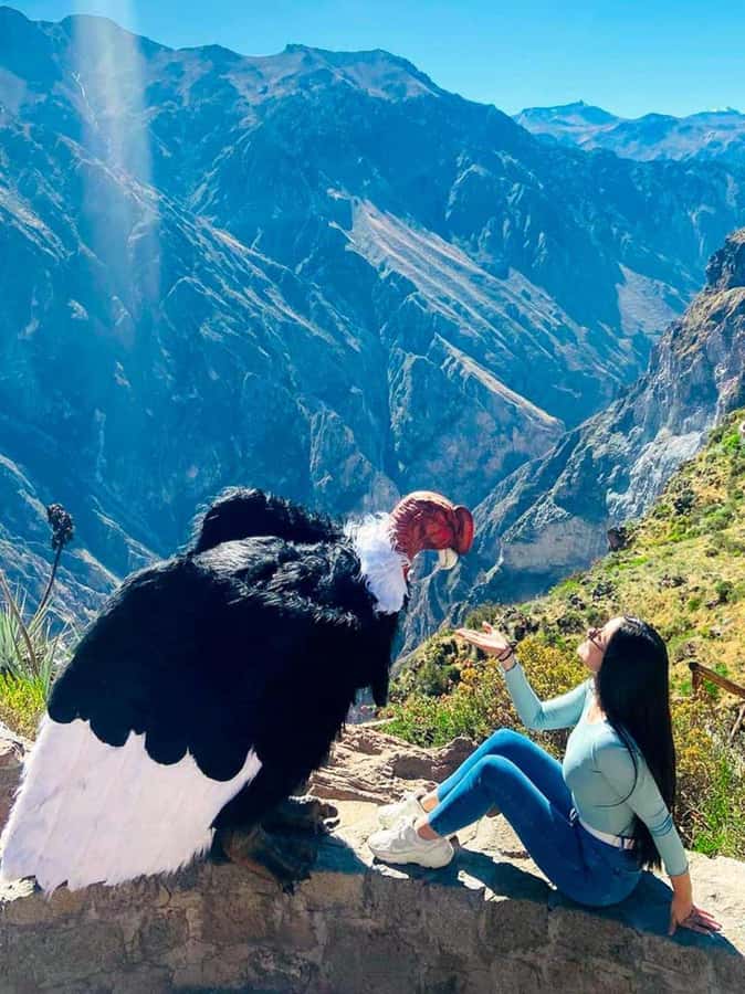 Full day excursion to Colca Canyon - Cruz del Cóndor around 8:30 AM