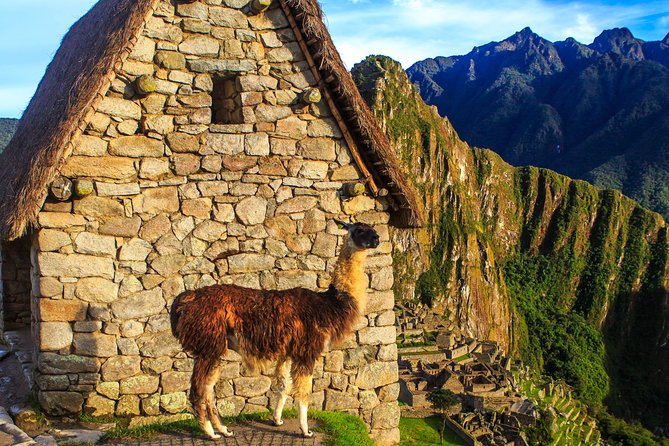 Full Day - Machu Picchu tour by Train - Group Service - What to pack and how to prepare