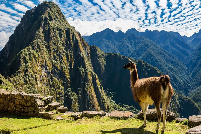 Full-Day Machu Picchu Tour From Cusco - The 5:30 a.m. road to Ollantaytambo