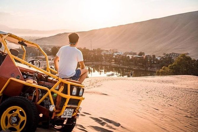Full Day Paracas Ica and Huacachina from Lima All Included - Ballestas Islands: wildlife from the water