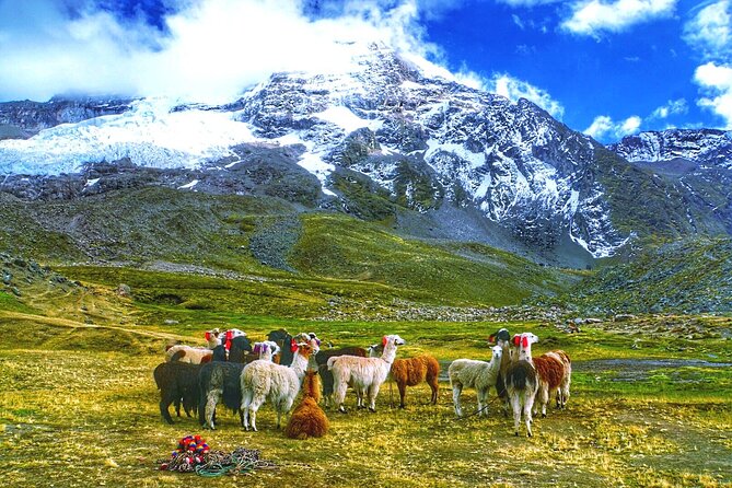 Full Day - Rainbow Mountain tour - Group Service - What the $52.06 price really covers