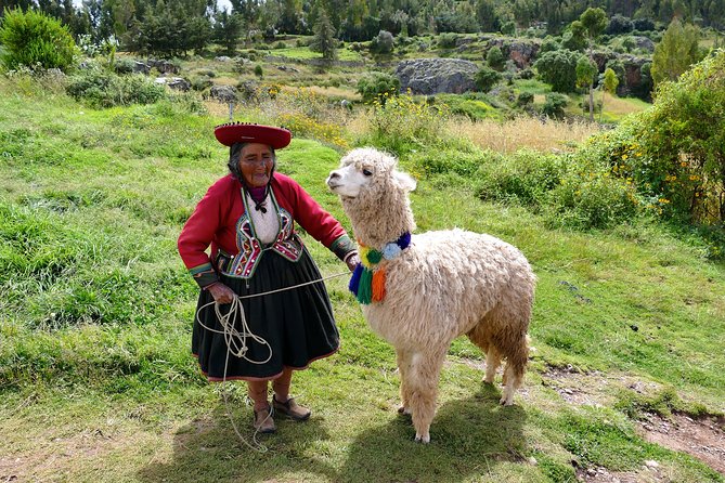 Full Day - Sacred Valley & Ccaccaccollo (Weaving experience) - Is $98.71 good value?