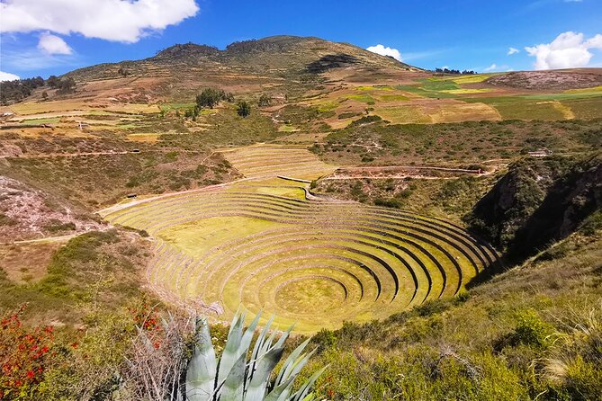 FULL DAY SACRED VALLEY TOUR (Just for your family) - Maras turns mountain water into salt