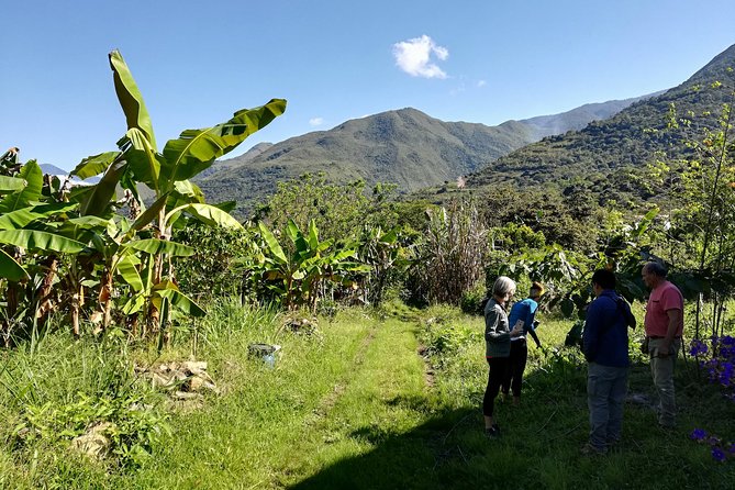 Full-Day Tour: Cacao farm experience in the jungle of Cusco - Key points before you book