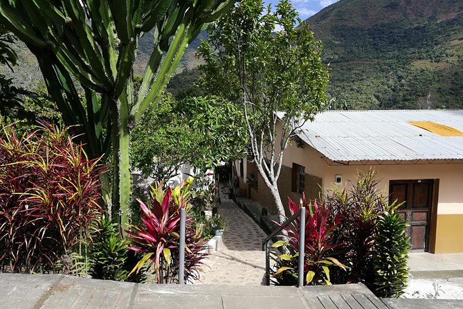 Full-Day Tour: Cacao farm experience in the jungle of Cusco - A quick breakfast stop near Ollantaytambo