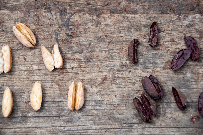 Full-Day Tour: Cacao farm experience in the jungle of Cusco - Arriving at the Huayopata Rodeo cacao farm