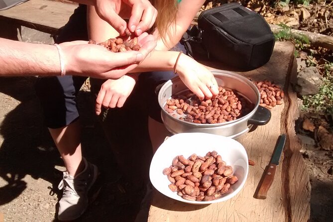 Full-Day Tour: Cacao farm experience in the jungle of Cusco - Making chocolate paste and hot chocolate