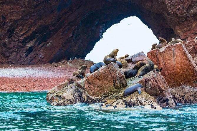 Full Day Tour From Lima: Paracas and Huacachina Oasis - Key points to know before booking