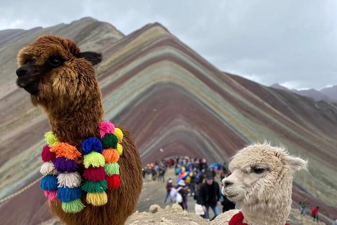 Full Day Tour in ATV by Montana 7 Colores Cusco - Weather, clothing, and physical effort