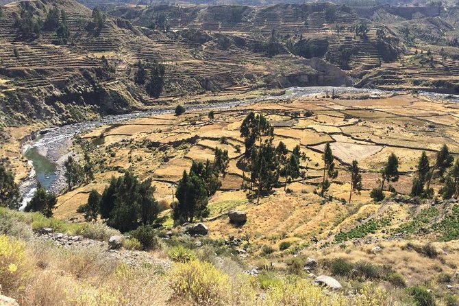 Full Day Tour Including Transfer to Puno / Colca Canyon - Chacapi hot springs: a pleasant optional pause