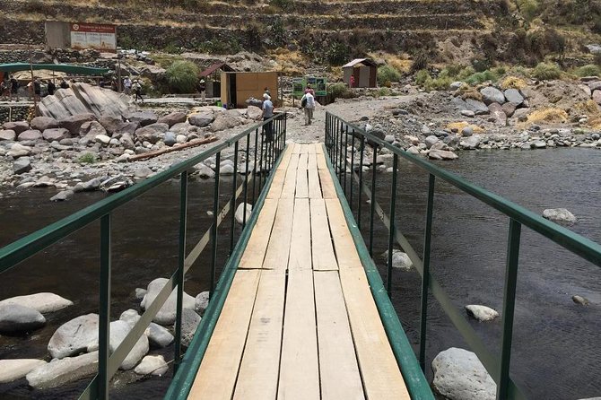 Full Day Tour Including Transfer to Puno / Colca Canyon - The road to Puno passes volcanoes and camelids