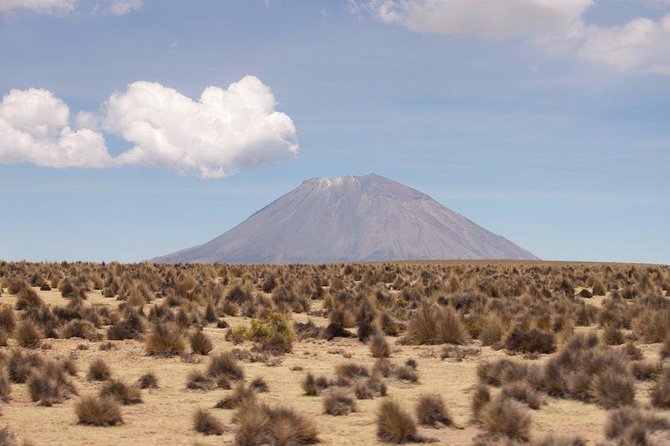 Full Day Tour Including Transfer to Puno / Colca Canyon - The second bus can make or break the final six hours