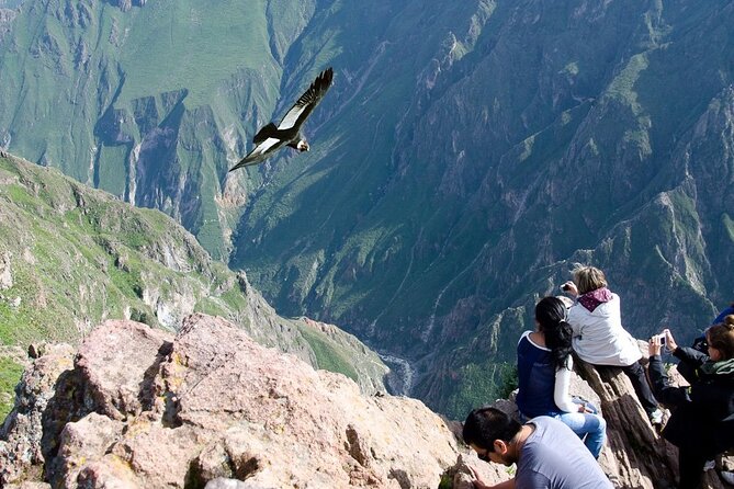 Full Day Tour to Colca from Arequipa - Key points to know before booking