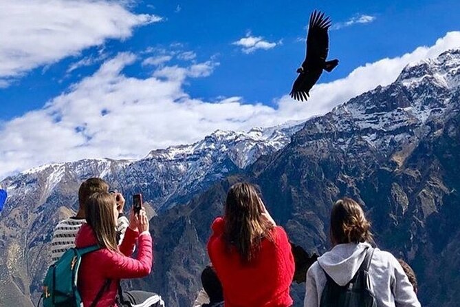 Full Day Tour to Colca from Arequipa - Cruz del Cóndor and the best 40 minutes of the day