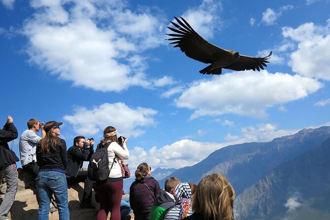 Full Day Tour to Colca including Transfer to Puno - Cruz del Condor and the best hour of the day