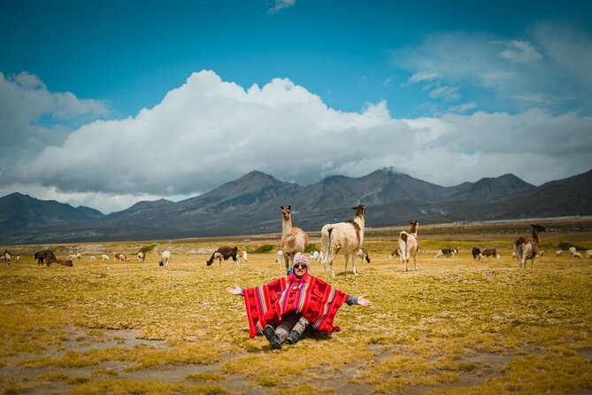 Full Day Tour to Salinas and Aguada Blanca National Reserve - Guides, transport, and group size