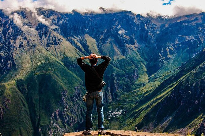Full Day Tour to the Colca Canyon - The canyon viewpoint and the Andean condors