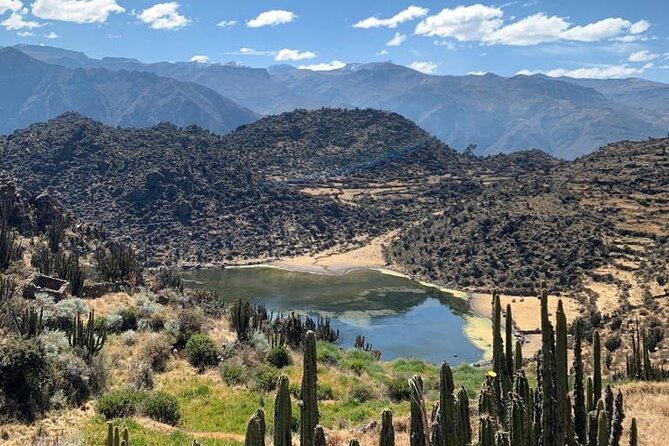 Full Day Tour to the Colca Canyon - Chivay, buffet lunch, and the practical rhythm of the day