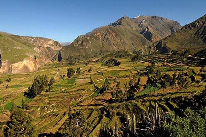 Full Day Tour to the Colca Canyon - What the vehicle, group, and guide service mean for you