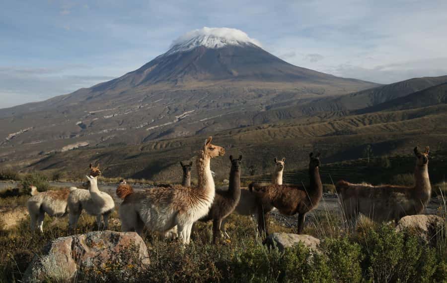 FULL-DAY TOURS TO THE COLCA CANYON WITH BREAKFAST - Why this $20 Colca Canyon tour offers good value
