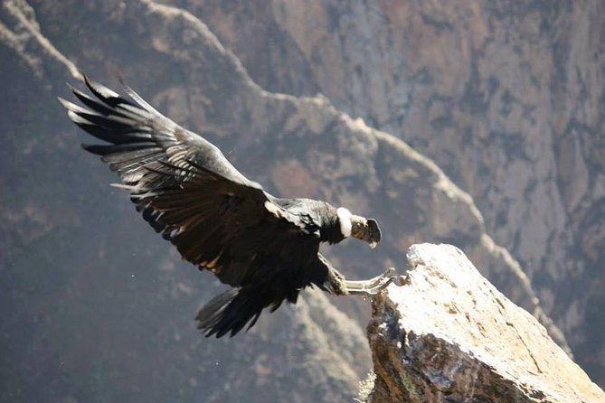 Full Day Trip to Colca Canyon from Arequipa - Maca and Yanque: small towns with local character