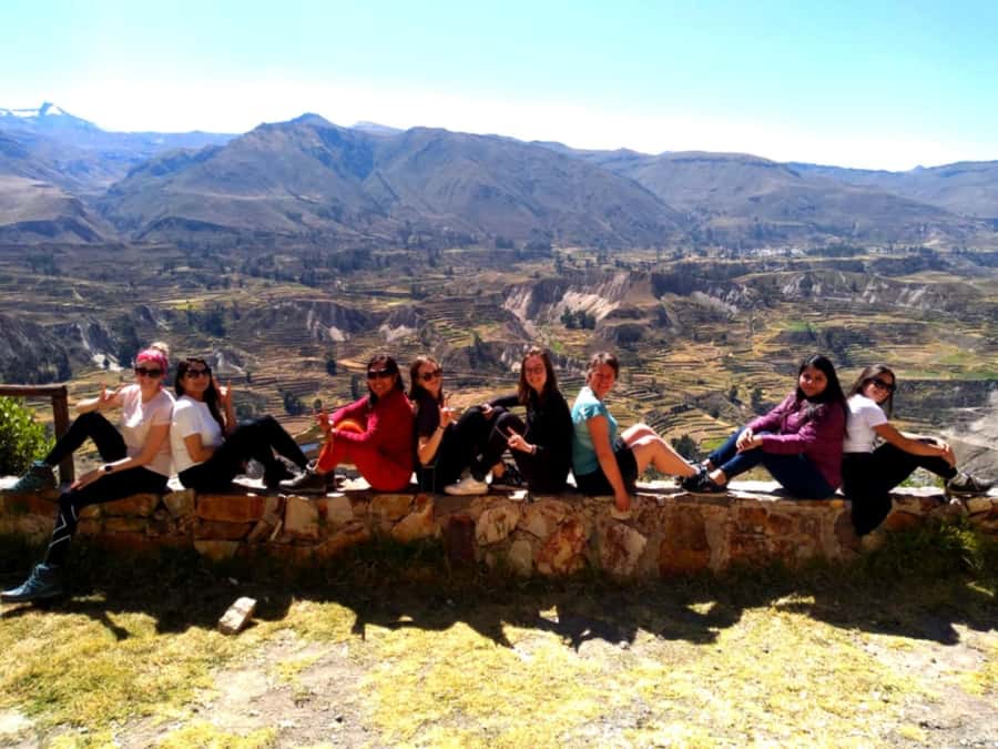 Full Day Trip to Colca Canyon from Arequipa ending in Puno - Vicuñas, llamas, and the high plateau