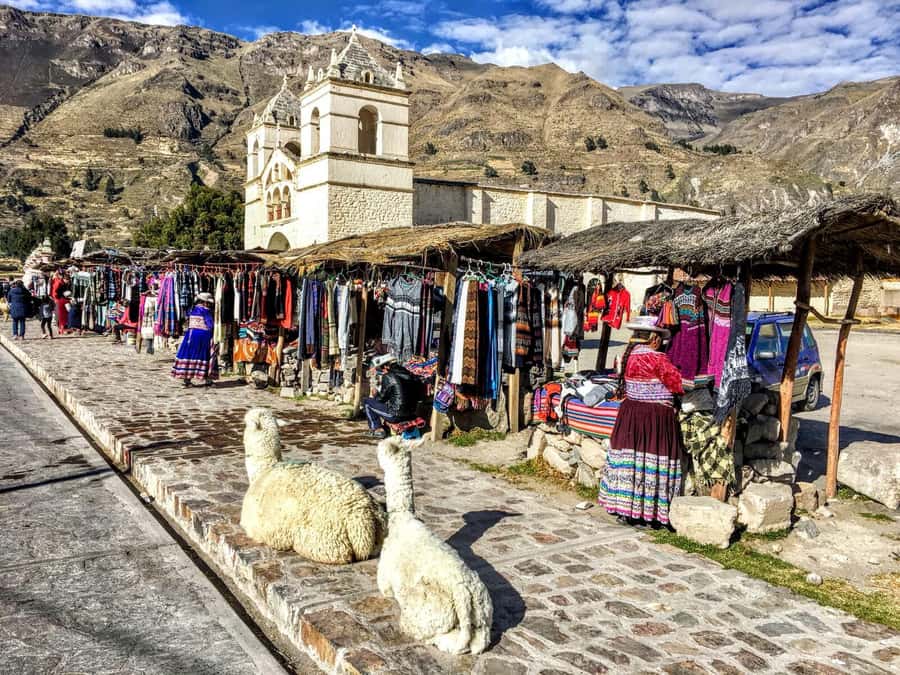 Full Day Trip to Colca Canyon from Arequipa ending in Puno - Optional hot springs for about 40 minutes