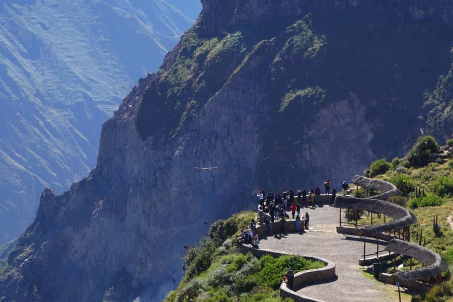 Full Day Trip to Colca Canyon from Arequipa ending in Puno - The 2:30 a.m. start from Arequipa
