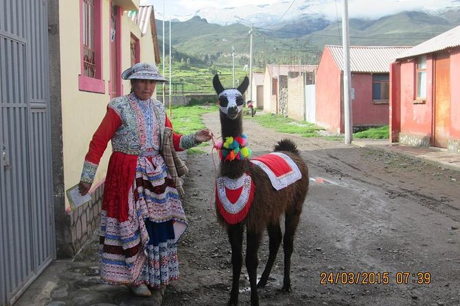 Full Day Trip to Colca Canyon from Arequipa - Breakfast in Chivay after three hours on the road