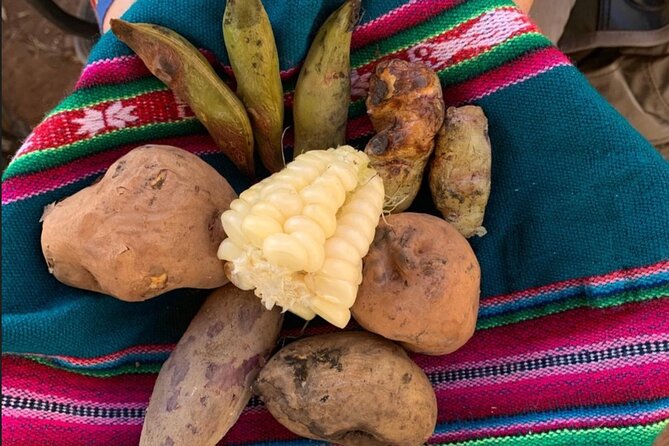 Half Day Andean Llama Trek in the Sacred Valley - Key points at a glance