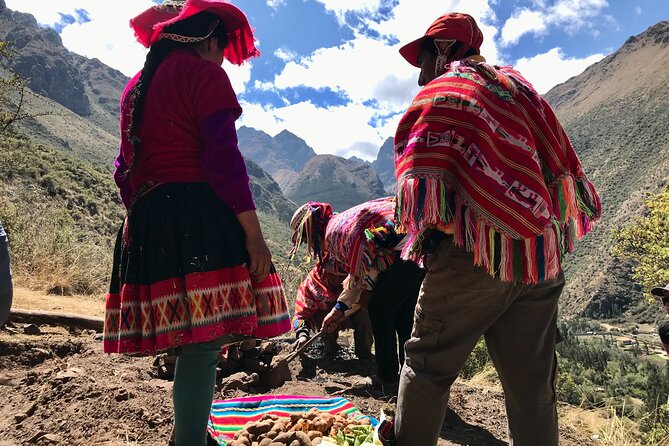 Half Day Andean Llama Trek in the Sacred Valley - Why this llama trek feels different from a standard Sacred Valley outing