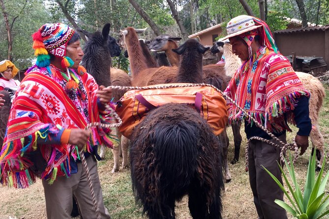 Half Day Andean Llama Trek in the Sacred Valley - What the $78 price includes