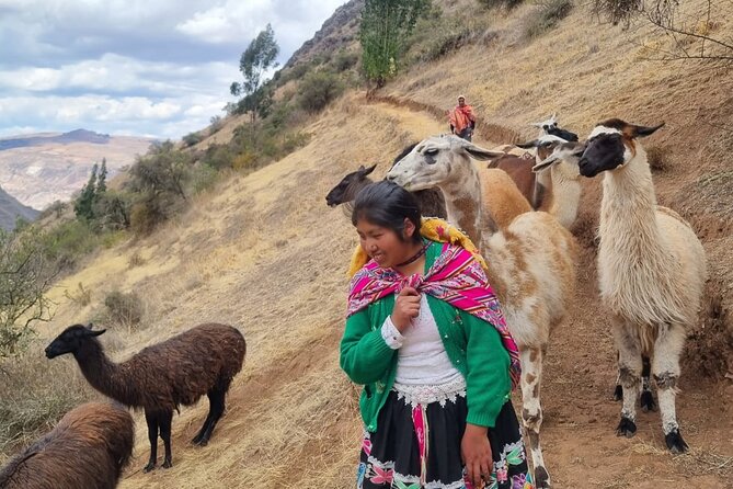 Half Day Andean Llama Trek in the Sacred Valley - Meeting the llama farmers at San Isidro