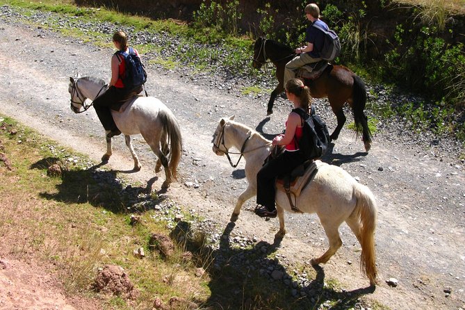 Half day: City Horse Riding - Mistic Tour - Group Service - How much riding experience do you need?