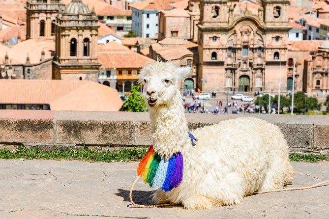 Half Day - Cusco City Essentials (Afternoon Group Tour) - Tambomachay gives the route a calmer finish