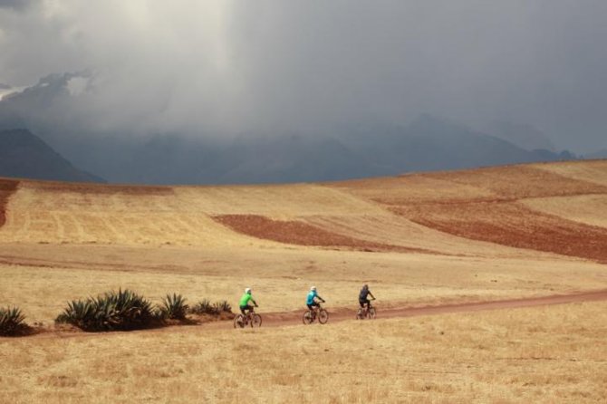 Half-Day Cycling Tour of Maras and Moray from Cusco - What the Cusco cycling day is really like
