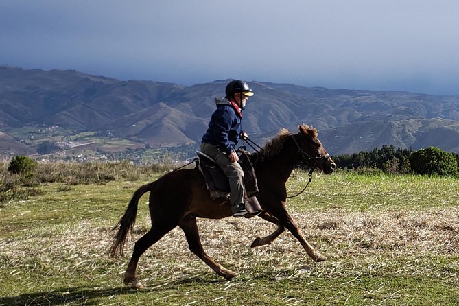 Half day Horseback Riding tour around Sacsayhuaman park - Meeting the horses and getting ready to ride
