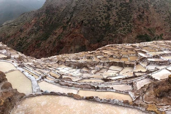 Half-Day Maras and Moray in Sacred Valley Cusco - A possible alpaca and vicuña shopping stop