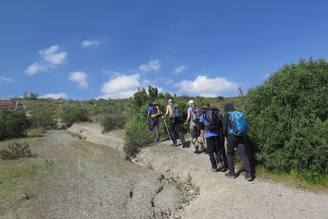 Half Day Trek To Volcan Misti - Why Misti makes a strong half-day outing from Arequipa