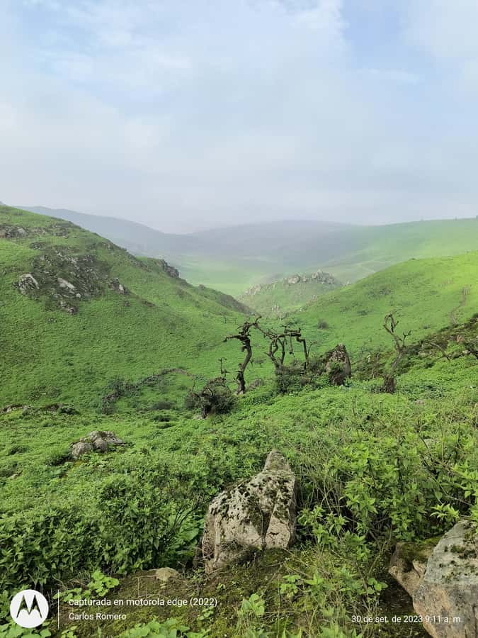Hiking Lomas de Lachay in Lima - Key points about hiking Lomas de Lachay