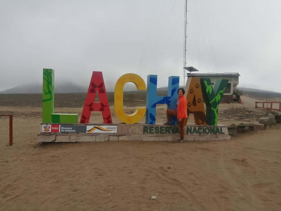 Hiking Lomas de Lachay in Lima - Breakfast before the two-hour walk