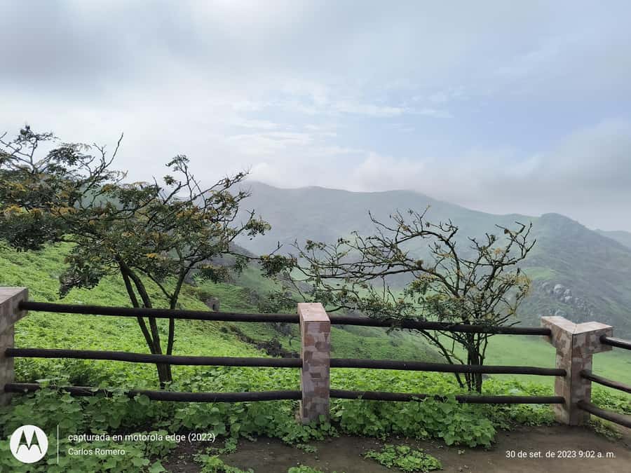 Hiking Lomas de Lachay in Lima - Who should book this hike near Lima?
