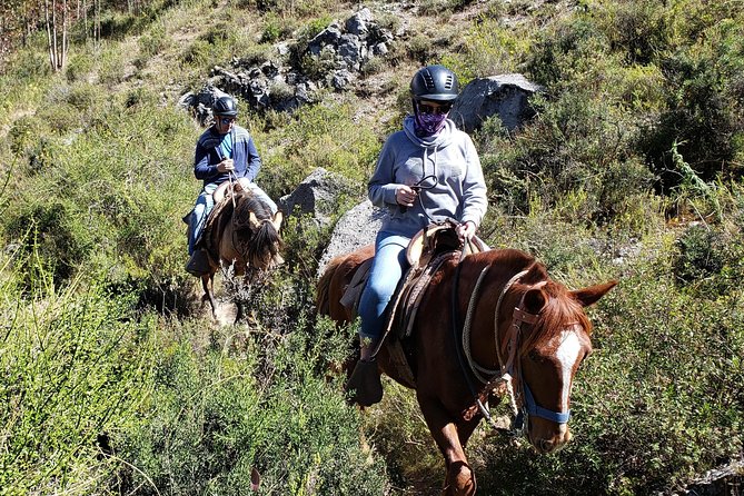 Horse Riding to the Temple of the Moon + Guided Visit to Sacsayhuaman - Cusco - Who will enjoy this ride most