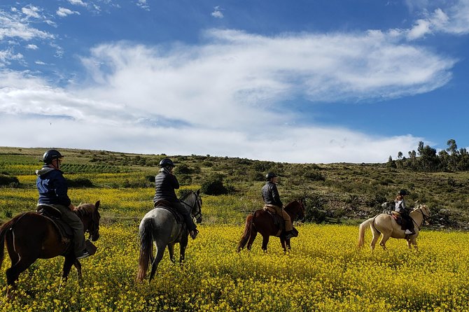 Horse Riding to the Temple of the Moon + Guided Visit to Sacsayhuaman - Cusco - Starting at the Temple of the Moon